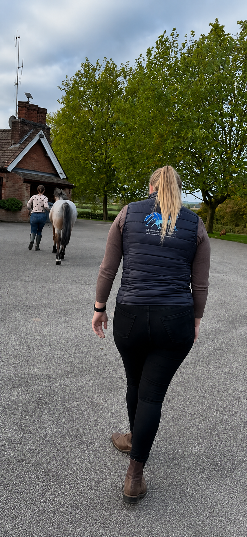 Veterinary physiotherapist assessing a dog's movement
